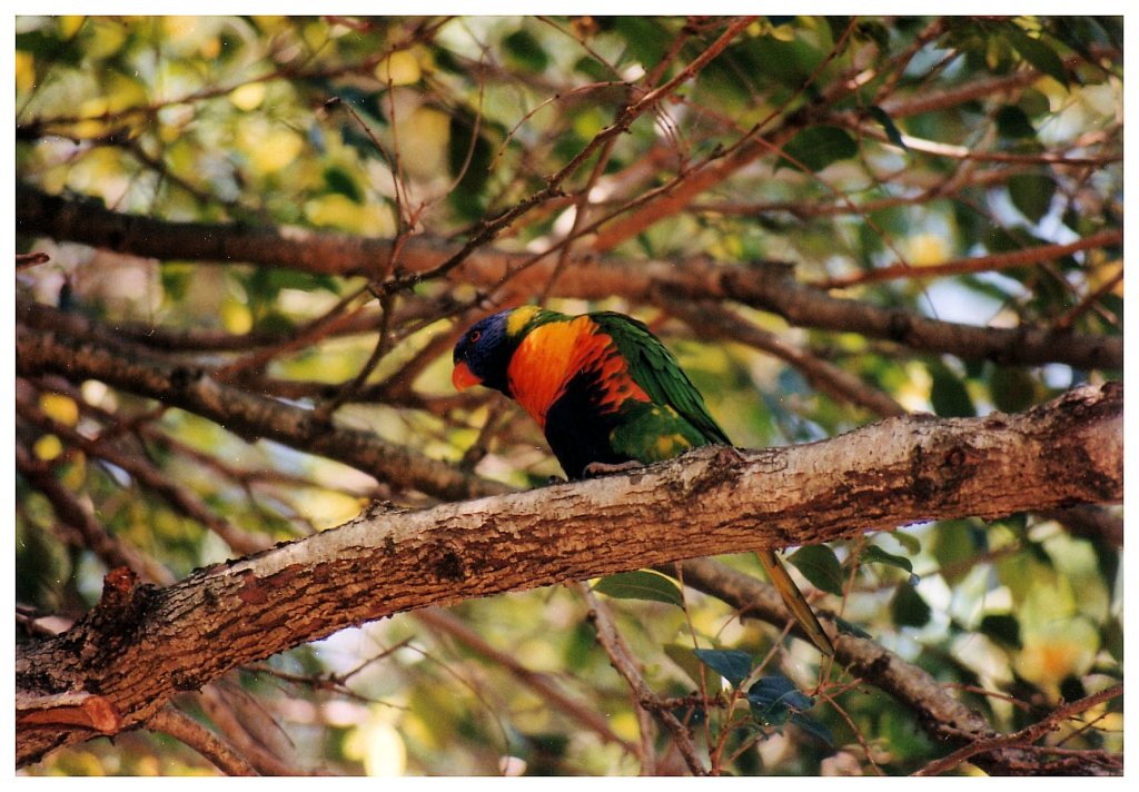 04 - Queensland (22).jpg